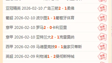 諾維茨基：心無旁骛投身籃球，竭盡所能奉献力量